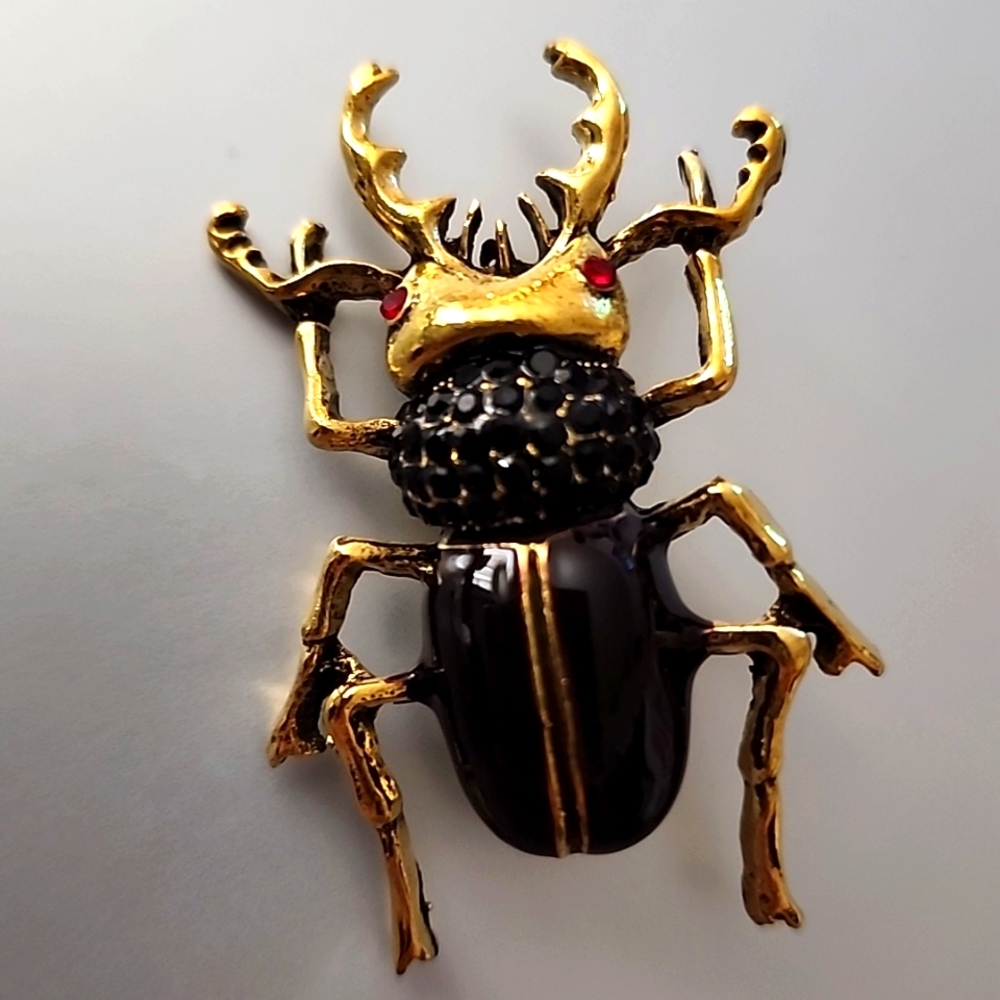 Beetle Bug Brooch  Just Amazing Must have not for the Girly Girl